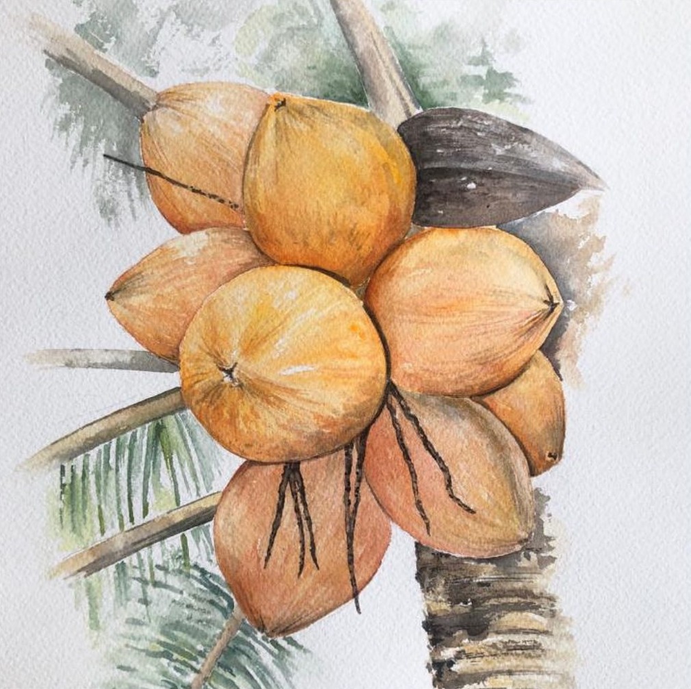 Tropical Fruits