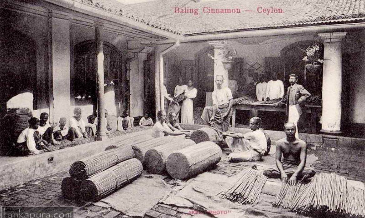 Sri Lankan Heritage